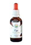 Krople bezalkoholowe Chaga 50 ml - Salvia Paradise