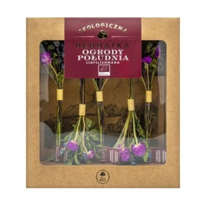  Herbatka liofilizowana Ogrody Południa EKO 5 sztuk 10 g - Dary Natury