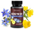 Koenzym Q10, wiesiołek i ogórecznik - 60 kapsułek - Skoczylas