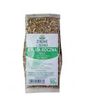 Bylica roczna ziele 50 g - Natura Wita