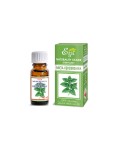 Olejek eteryczny naturalny Mięta Kędzierzawa 10 ml - Etja