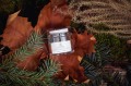 Naturalna pielęgnacja okolic oczu 15 ml - Moistry