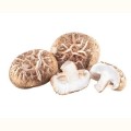 Ekstrakt z Shiitake (twardziak jadalny) 400 mg 90 kapsułek - Biowen