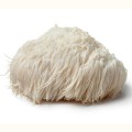Lion's Mane Soplówka jeżowata ekstrakt 400 mg 90 kapsułek - Biowen
