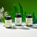 BIO Chlorella proszek 120 g - Biowen