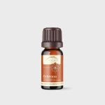 Ochrona mieszanka 100% olejków eterycznych 10 ml - Nanga