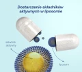 Lipocaps Witaminy K2 D3 liposomalne 60 kapsułek - ForMeds
