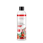 Regenerujący szampon do włosów blond, farbowanych, rozjaśnianych 300 ml - Vianek