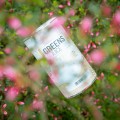 Błonnik Greens & Juice (smak cytrynowy) 360 g - So Good!