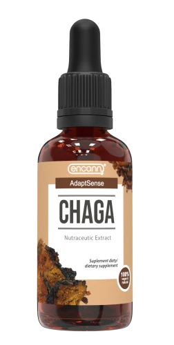 Chaga ekstrakt w płynie 50 ml - Encann
