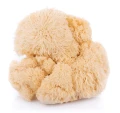 Lion's Mane soplówka jeżowata 500 mg 60 kapsułek - Encann