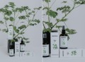 Hydrolat ekologiczny Geranium 100 ml - Ministerstwo.