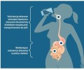 Liposol™ Liposomalna witamina K2 (Vita MK7) 100 uq + D3 4000 IU 250 ml - Aliness