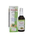 Żyworódka w płynie 115 ml - Gorvita 