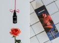 Ujędrniające serum do twarzy Róża Malina 30 ml - Ministerstwo.