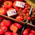 Pomidor x Przemek Sokołowski naturalne mydło w kostce 110 g - Cztery Szpaki