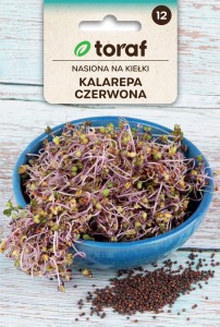 Kalarepa Czerwona nasiona na kiełki 10 g - Toraf