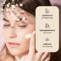 Krem brzozowy z betuliną 50 ml - Sylveco