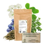 Herbatka ziołowa dna moczanowa 75 g - Ziołowy Raj