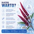 Prebiotyczny szampon nawilżający 300 ml - Vianek