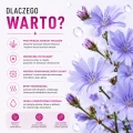 Prebiotyczna wcierka przyspieszająca wzrost włosów 150 ml - Vianek