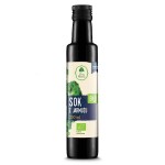 Sok z jarmużu EKO 250 ml - Dary Natury