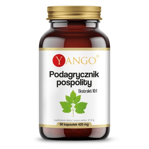 Podagrycznik pospolity ekstrakt 90 kapsułek roślinnych - Yango