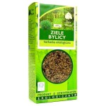 Bylica pospolita ziele EKO 50 g - Dary Natury