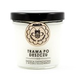 Trawa po Deszczu świeca z wosku sojowego 120 ml - Miodowa Mydlarnia
