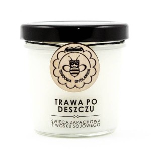 Trawa po Deszczu świeca z wosku sojowego 120 ml - Miodowa Mydlarnia