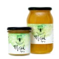 Miód lipowy 450 g - Pasieki Rodziny Sadowskich