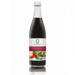 Wielowarzywny 100% sok ekologiczny kiszony BIO 500 ml - Bio Food