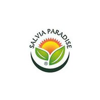 Salvia Paradise